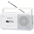 Portable Cassette Player with AM/FM Radio Bluetooth Casette Tape Player Recorder with Headphone Jack Cassette Boombox for Home and Travel Elderly Gift Audio to Cassette Converter AC/Battery Power